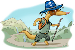 iferret hornsby