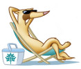 iferret pittwater logo